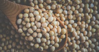 Lécithine de soja : bon pour la santé ou dangereux