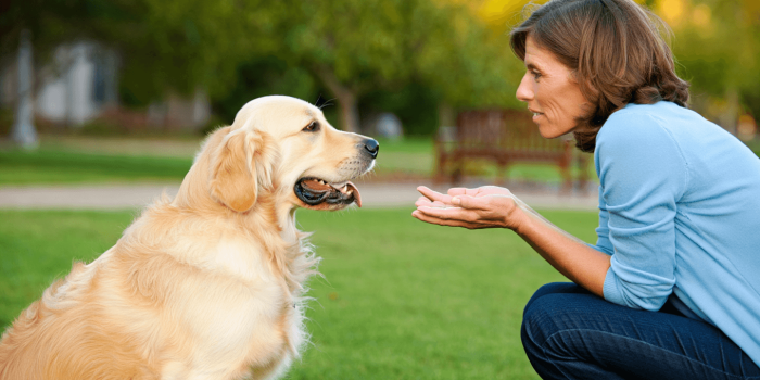 Comprendre son chien