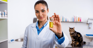 huile de saumon chat