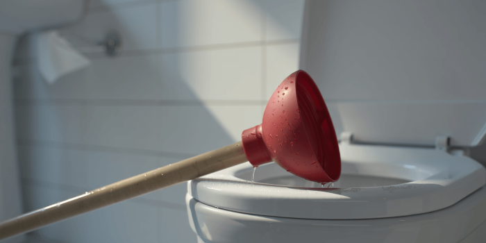 Votre ventouse de WC est un nid à microbes : voici comment la nettoyer en 2 minutes chrono