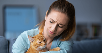 infection urinaire chat