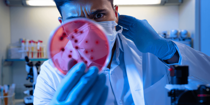 Grippe H3N2 : un nouveau variant à risque ?