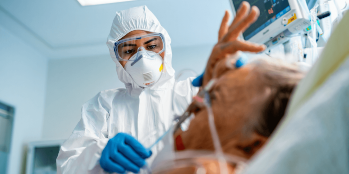 Virus Nipah en Inde : le spectre d’une nouvelle épidémie ?