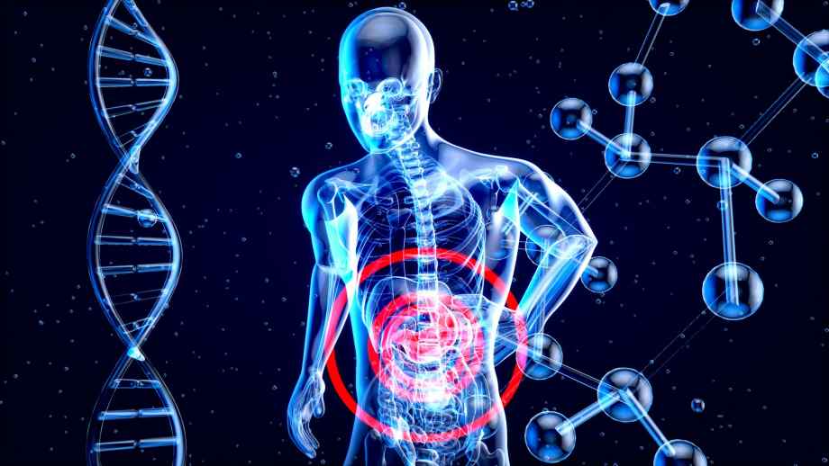 Combien de temps peut-on vivre avec l’hépatite B ?-IFSS