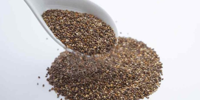 Comment consommer les graines de chia pour soulager la constipation ?-IFSS