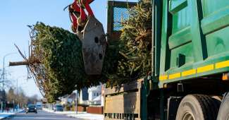 Après Noël : Idées Créatives pour Réutiliser votre Sapin
