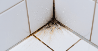 Comment enlever les moisissures sur les joints de douche : la méthode pas à pas