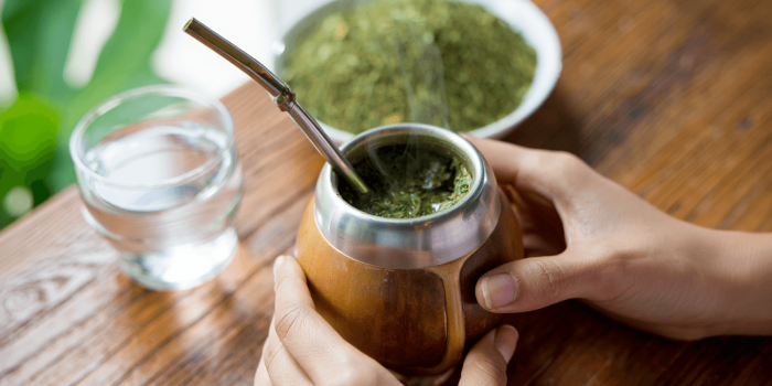 10 bienfaits du mate