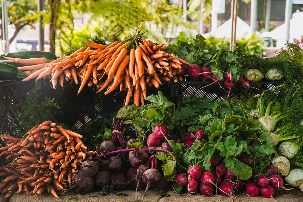Aliments riches en vitamine C et protéines favorisant la production naturelle de collagène
