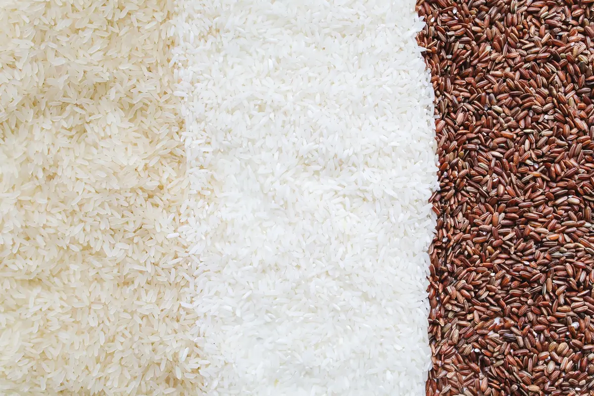 Différentes variétés de riz : riz blanc, riz brun et riz complet pour une meilleure digestion