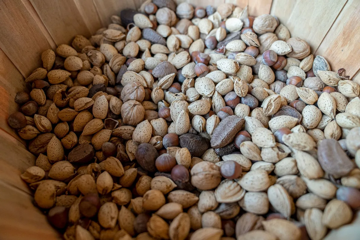 Aliments riches en sélénium : noix du Brésil, graines et poissons