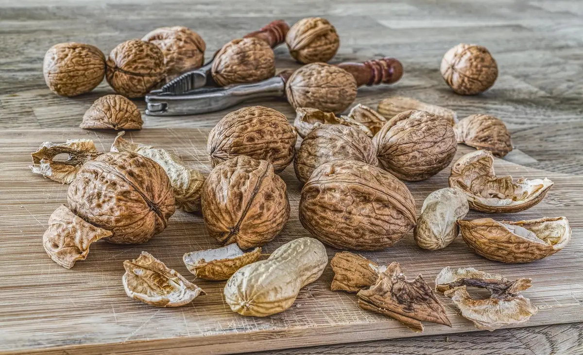 Étiquette de composition de croquettes et bol illustrant protéines, fibres et minéraux