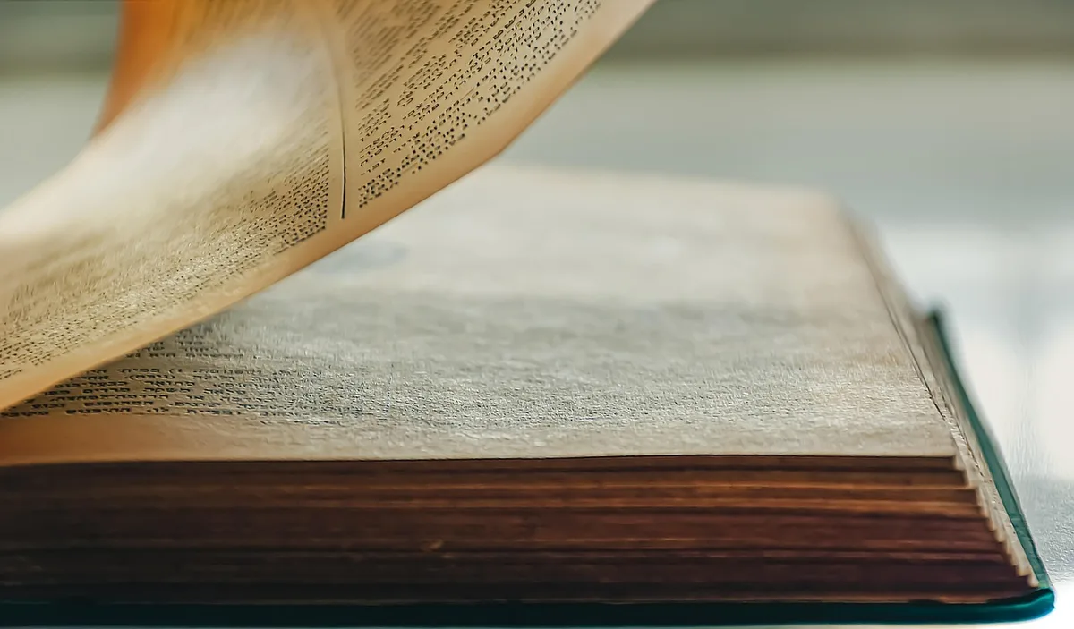 Feuilles d'automne pressées entre les pages d'un livre avec du papier absorbant