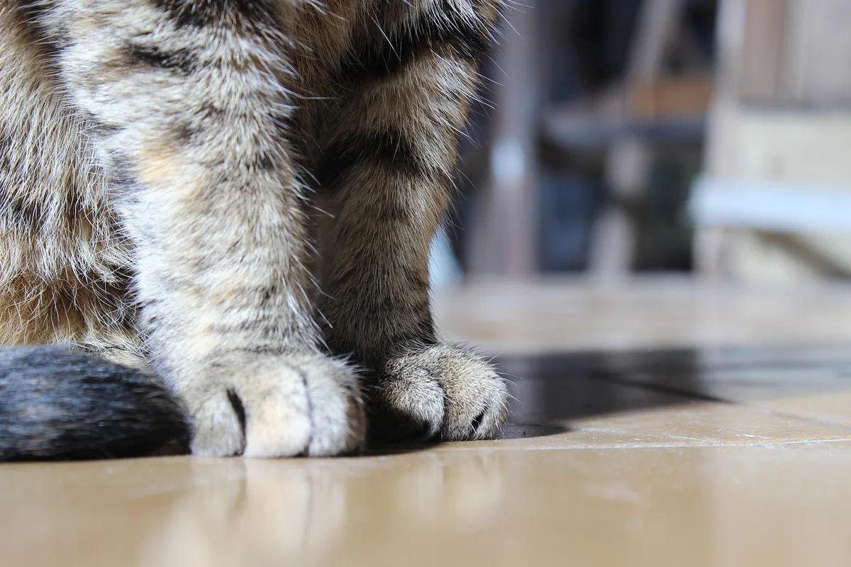 Chaussons faits à partir d'une manche de pull en laine