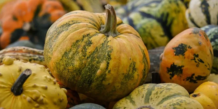 Assiette de légumes rôtis sur une table de cuisine en pleine journée