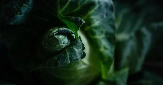 Aliments anti-âge frais : curcuma, grenade, brocoli et baies sur une surface en bois