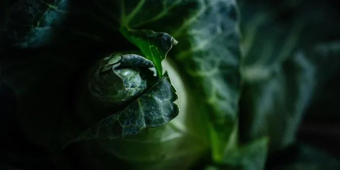 Aliments anti-âge frais : curcuma, grenade, brocoli et baies sur une surface en bois