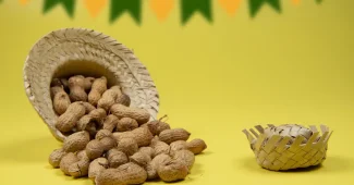 Aliments riches en magnésium : graines, noix, chocolat noir et algues séchées