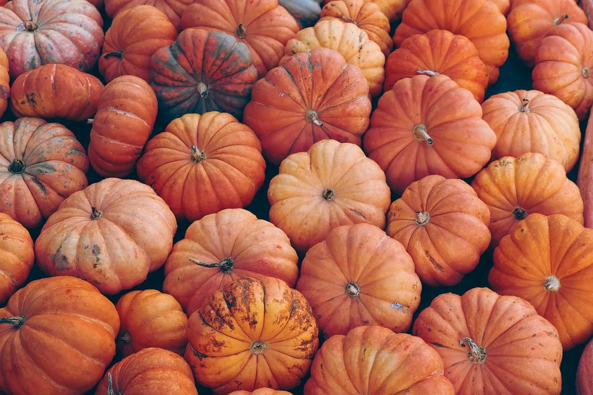 Assortiment de fruits et légumes de saison colorés sur un étal
