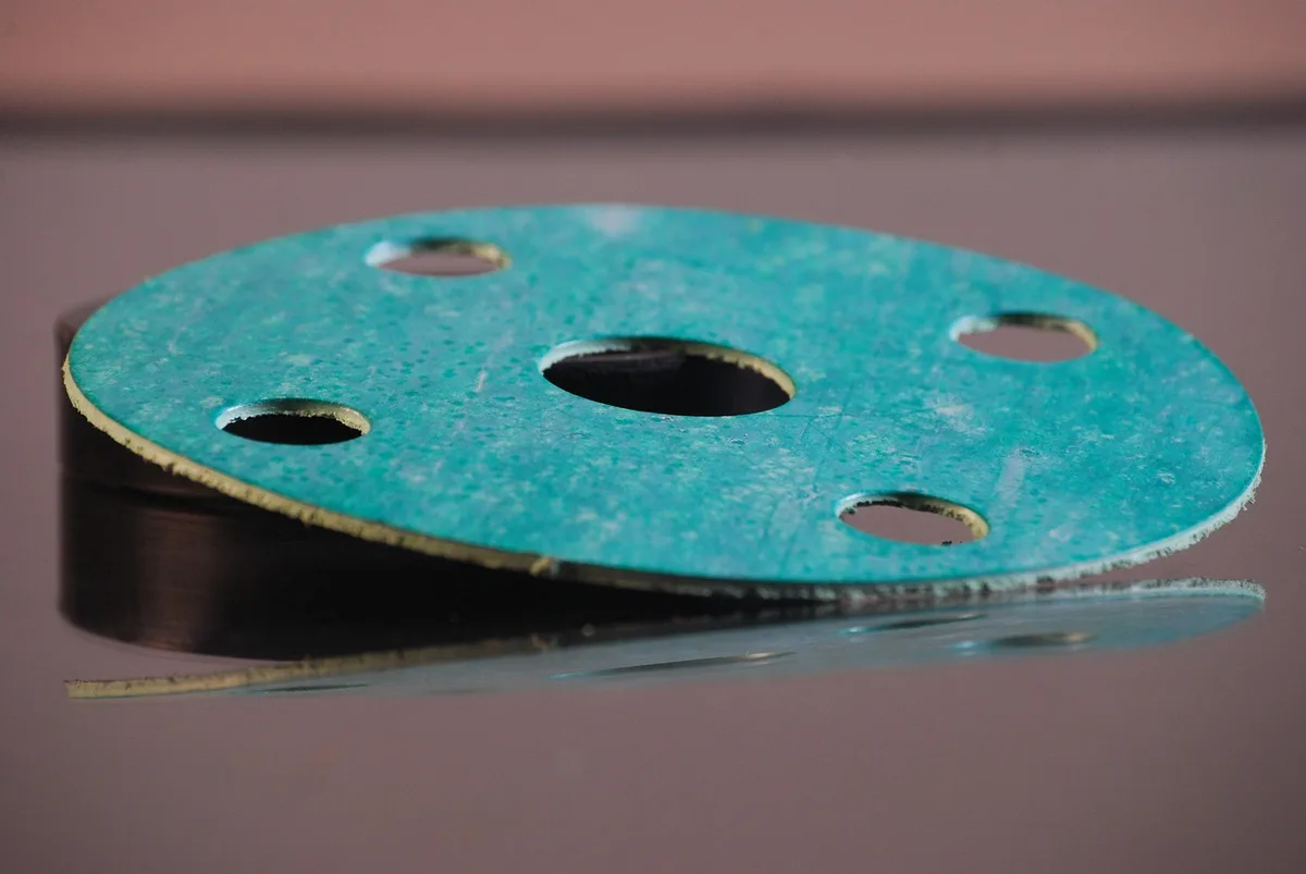Main inspectant le joint d'un lave-linge pour traces de moisissure