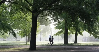 Mains anonymes tenant chaussures de course et haltères sur un banc en plein jour