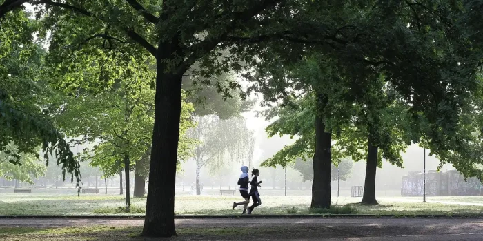Mains anonymes tenant chaussures de course et haltères sur un banc en plein jour