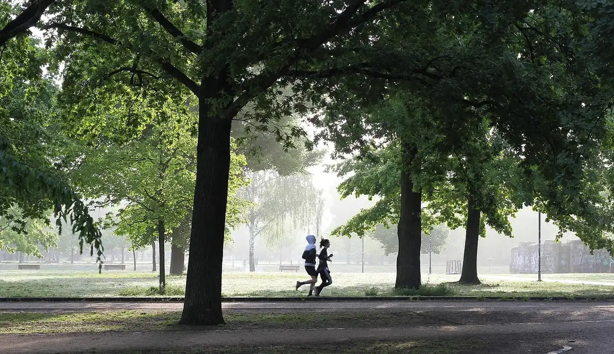 Mains anonymes tenant chaussures de course et haltères sur un banc en plein jour