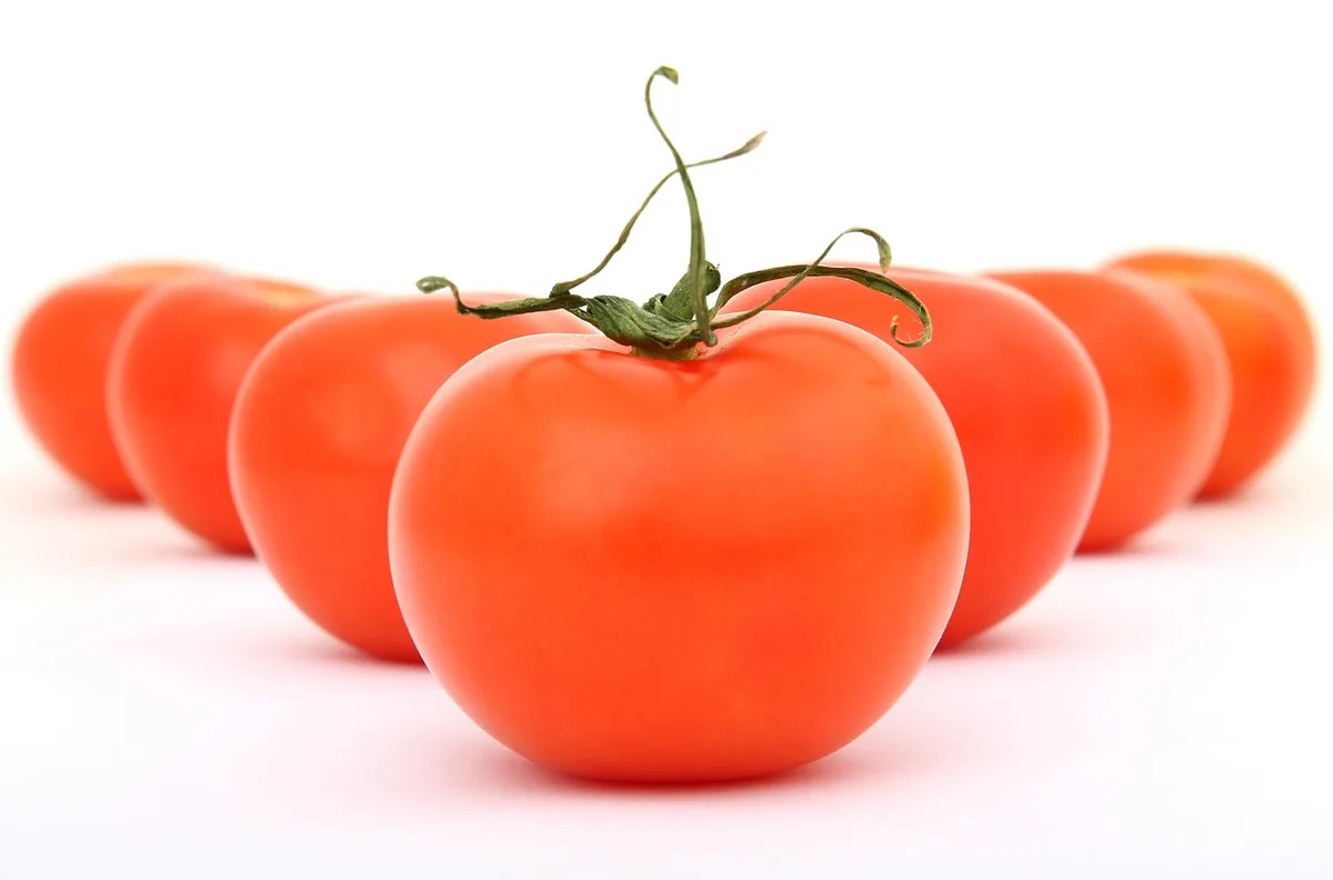 Aliments riches en vitamine D et lumière du soleil sur la peau